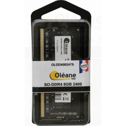 8GB SO-DDR4 2400 MHz CL17 1.2V (PC4-19200) Oléane key