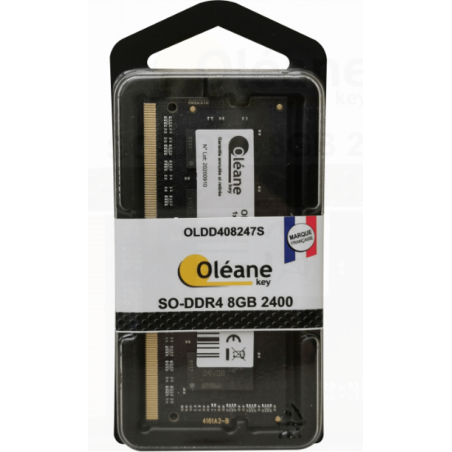 8GB SO-DDR4 2400 MHz CL17 1.2V (PC4-19200) Oléane key