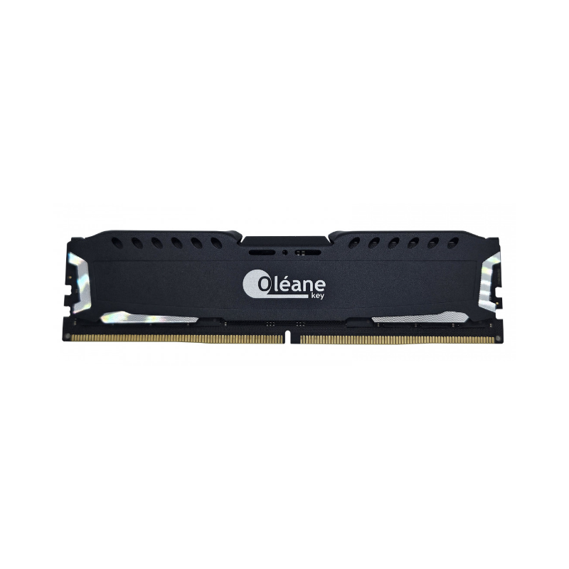 16GB DDR5 6000 MHz XMP 3.0 1.35V Oléane key