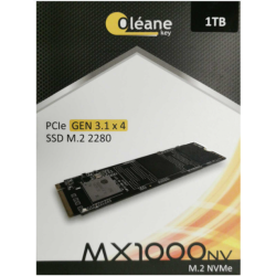 SSD OLEANE KEY MX1000 Nvme 1Tb