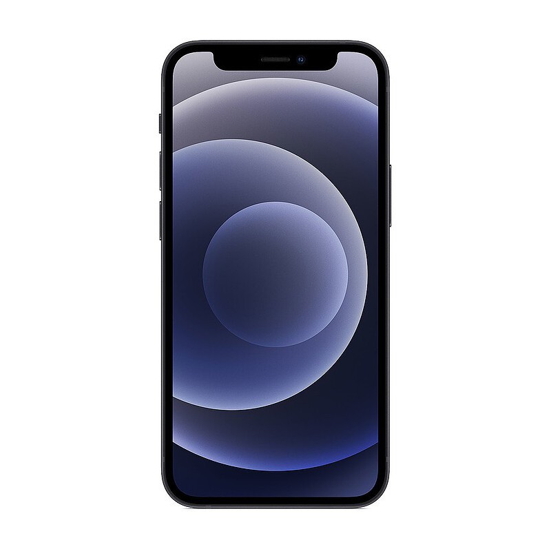 iPhone 12 mini 64Go Occasion