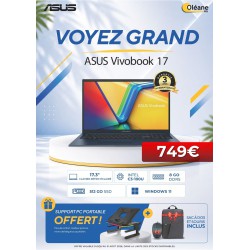 ASUS X1704VA-ISCAU1207W