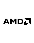 AMD